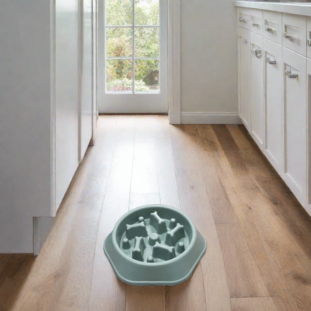 Dog Bowls for Slow Eating