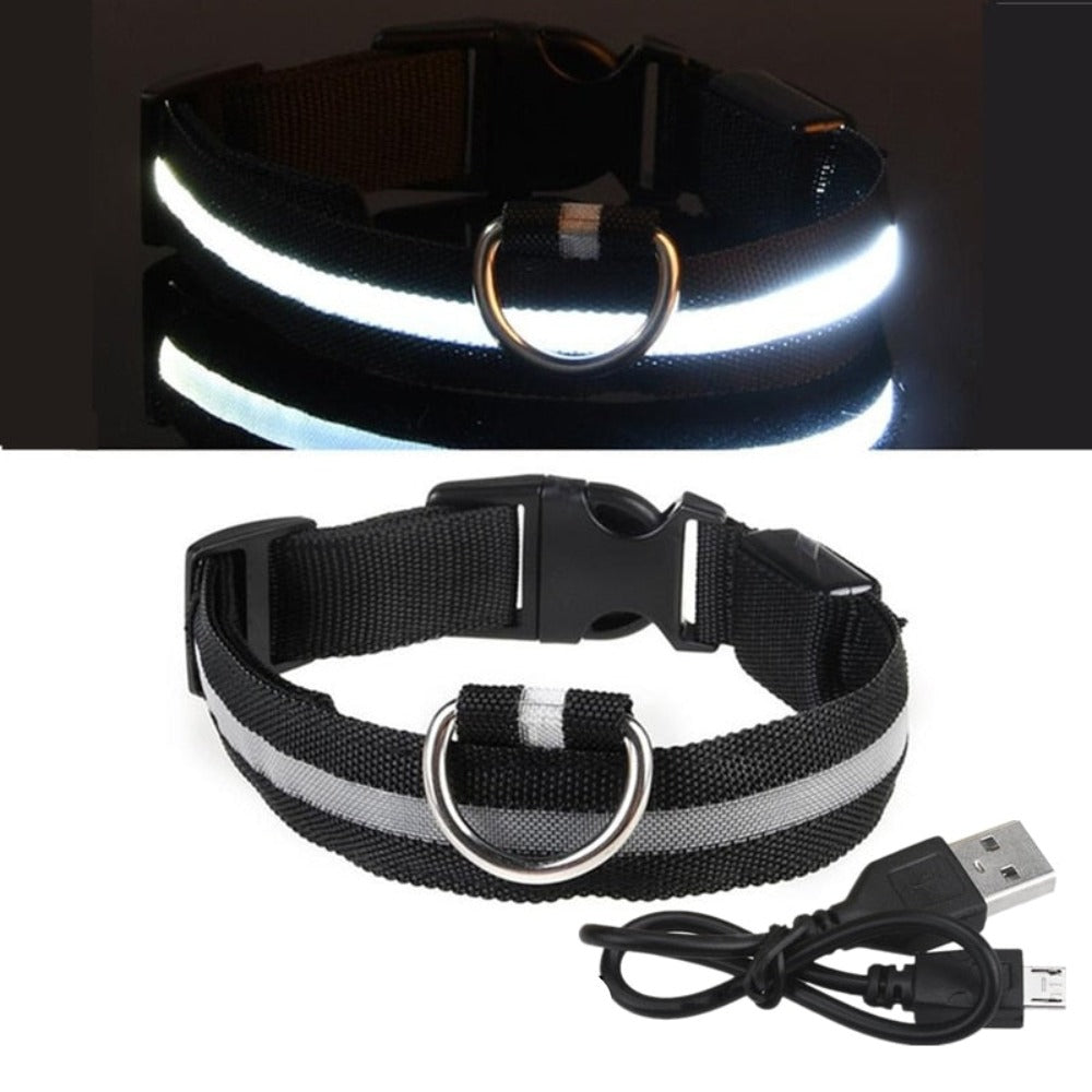 Black USB LED Dog Collar