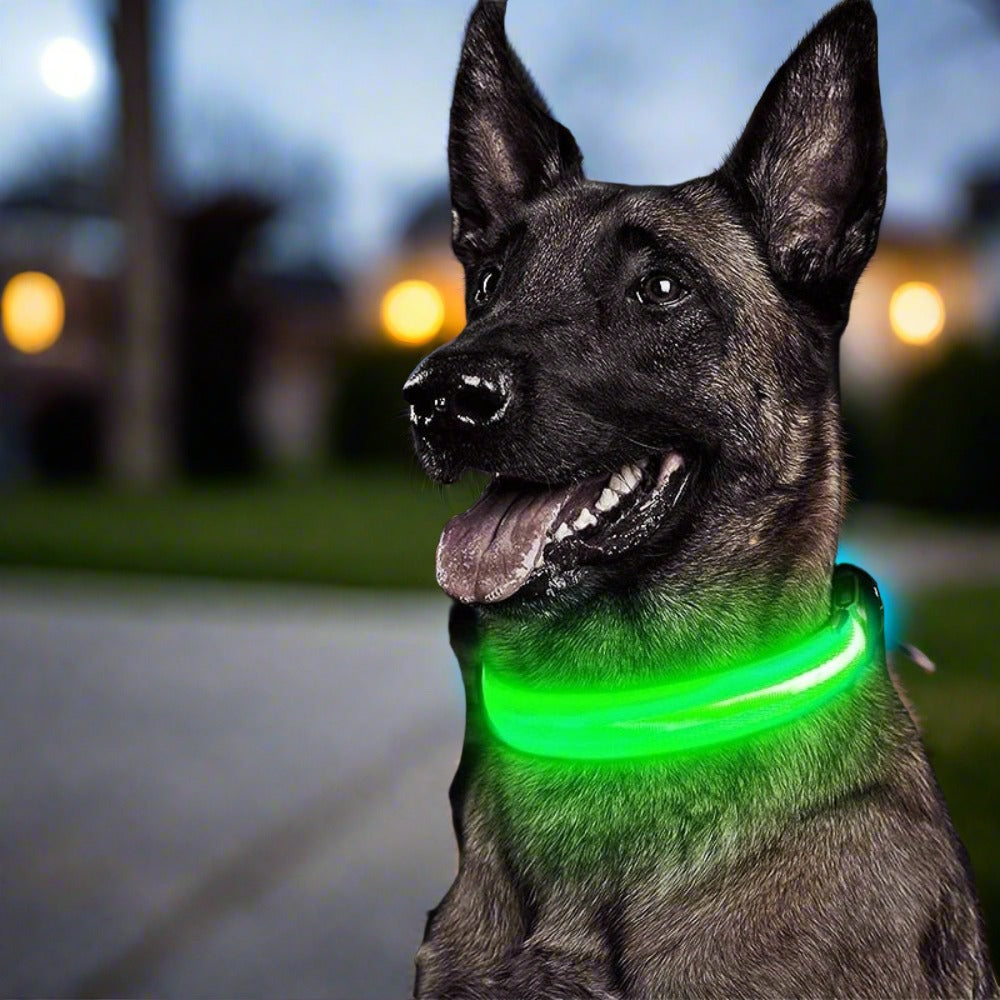 LED Dog Collar