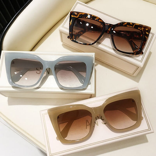 Big Frame Sunglasses