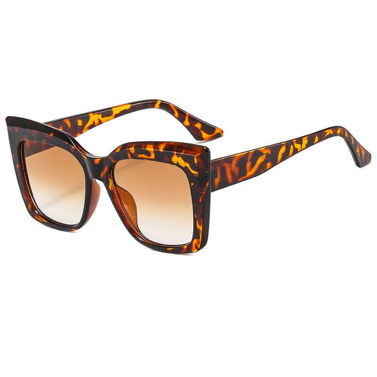 Big Frame Sunglasses