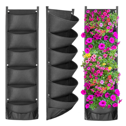 Hanging Basket Plants