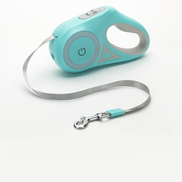 Green Retractable Dog Leash