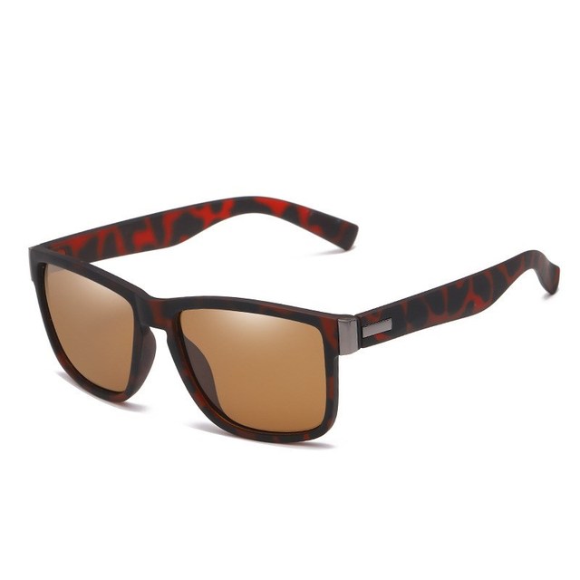 Brown Polaroid Sunglasses