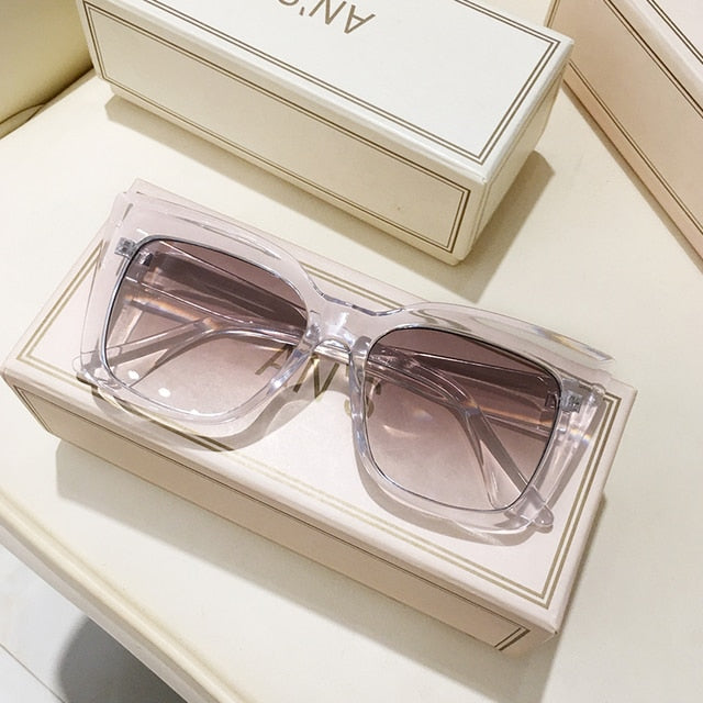 Clear Big Frame Sunglasses