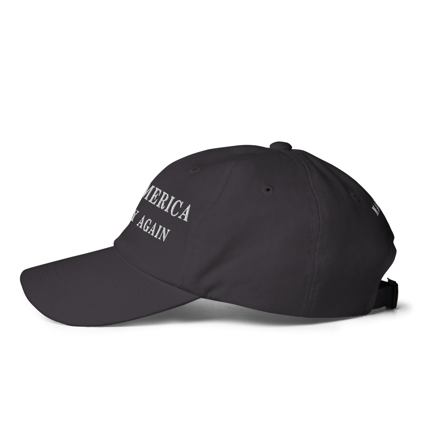 Make America Healthy Again Hat