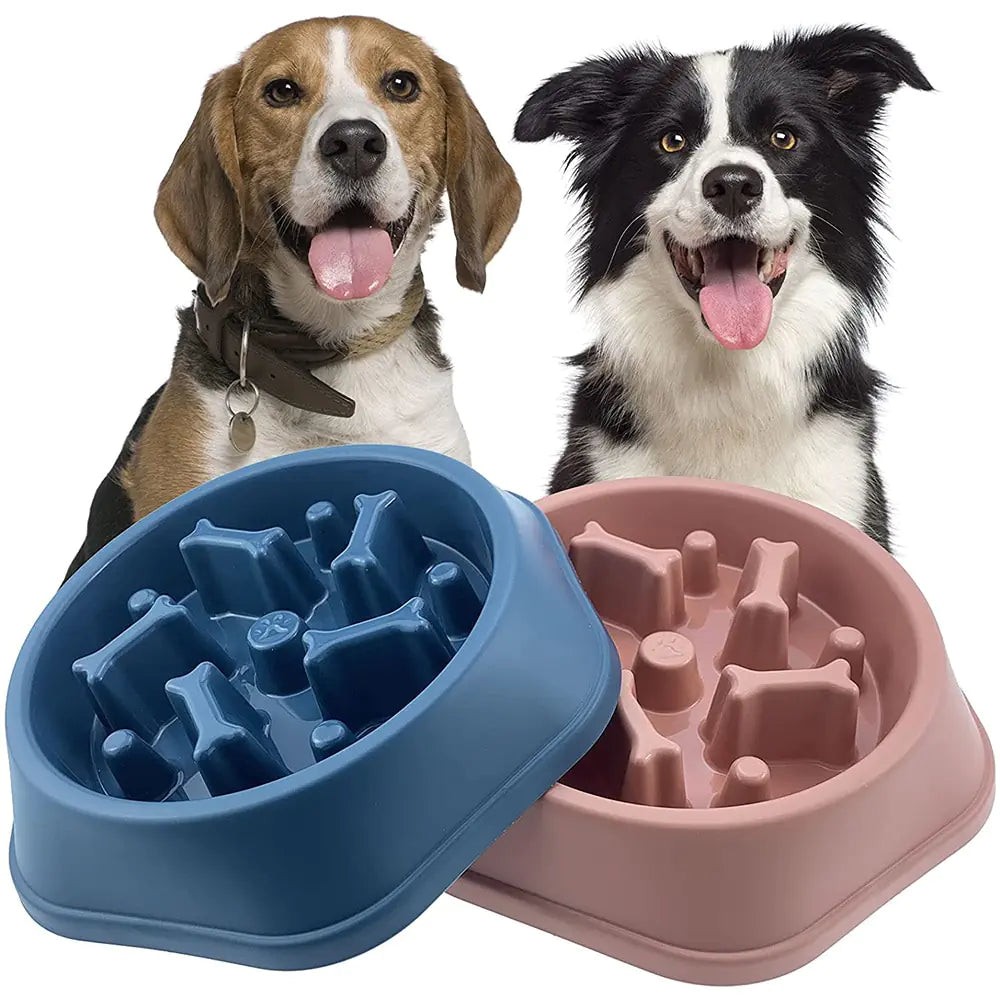 Dog Bowls for Slow Eating