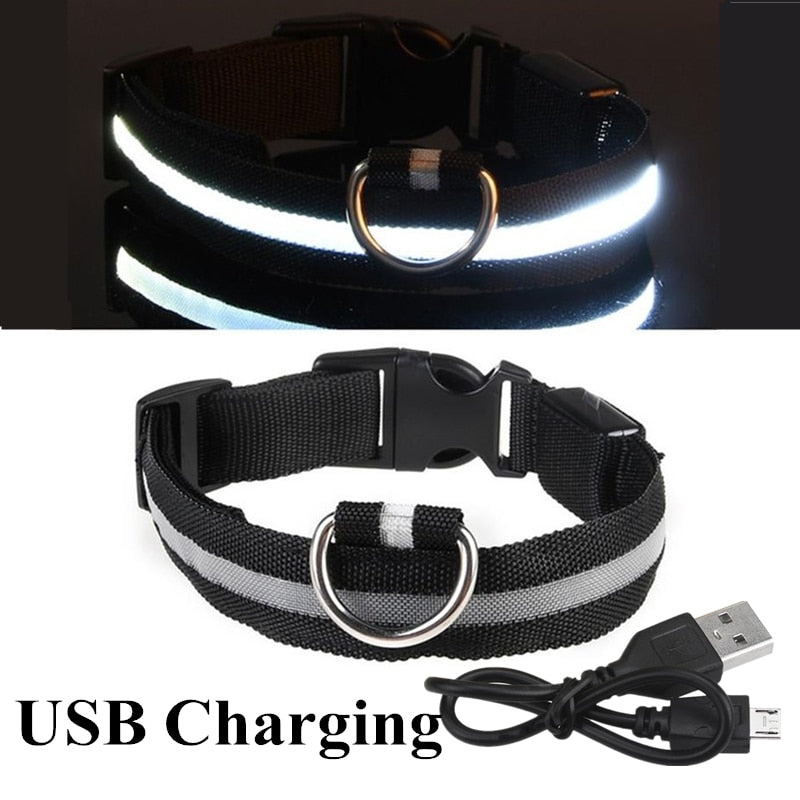 Black USB LED Dog Collar