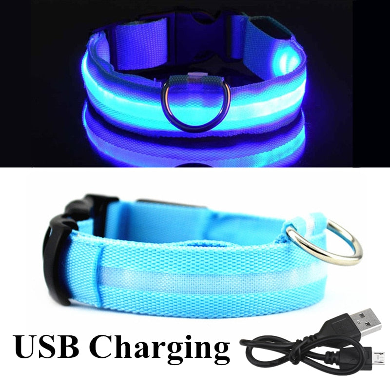 Blue USB LED Dog Collar