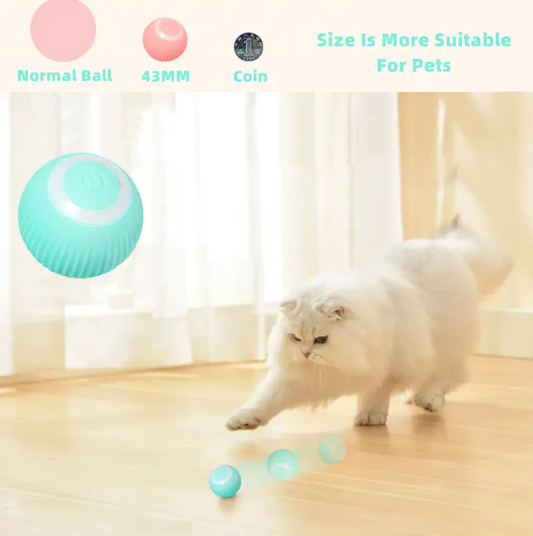 Interactive Cat Ball