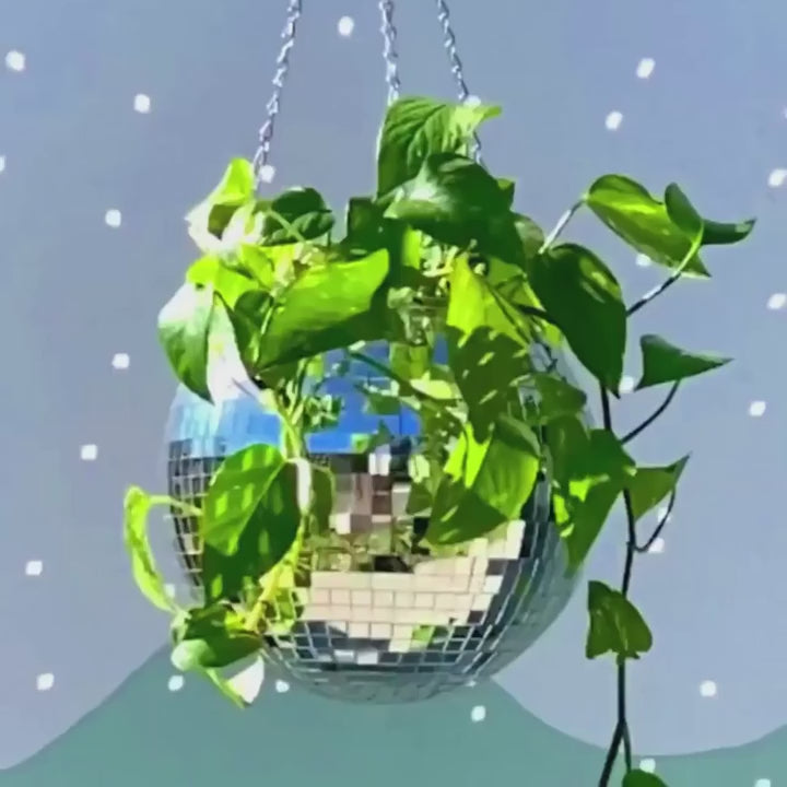 Disco Ball Vase Video