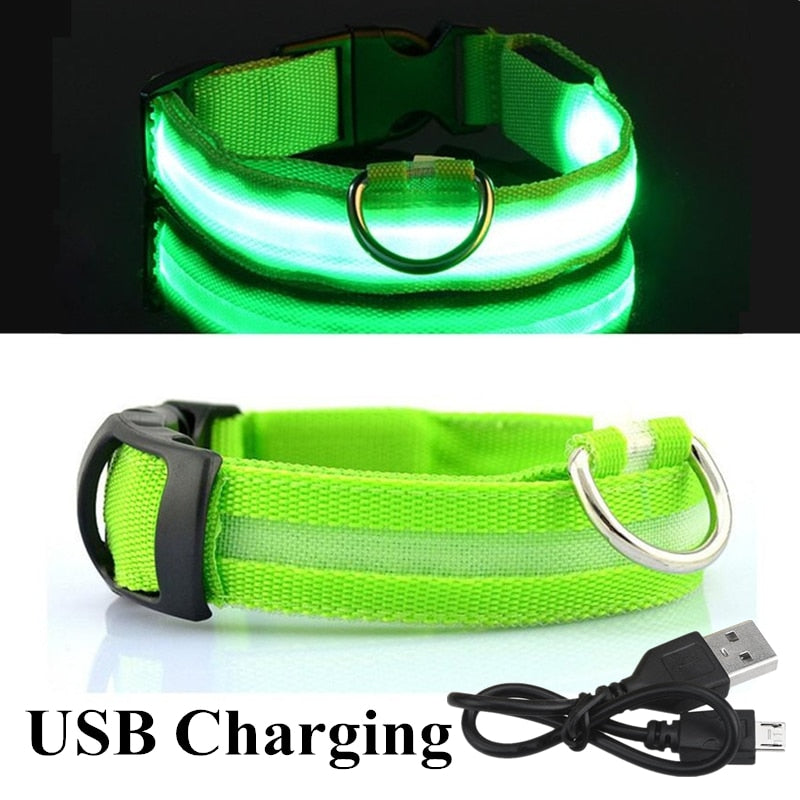 USB Green LED Dog Collar